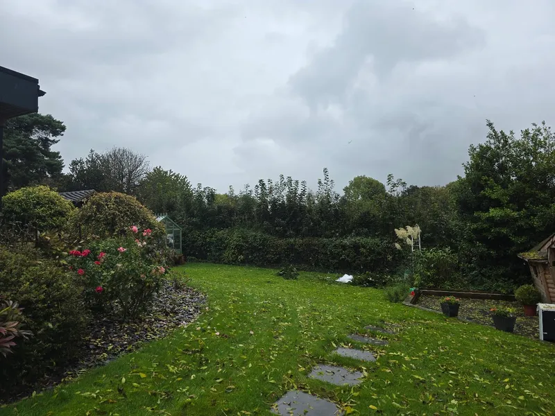 A well-maintained garden in Nottingham with a neat lawn, flower borders, and trimmed hedge